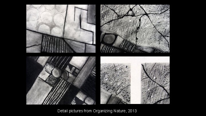 Detail pictures from Organizing Nature, 2013 