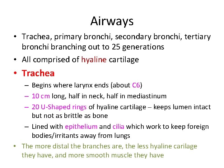 Airways • Trachea, primary bronchi, secondary bronchi, tertiary bronchi branching out to 25 generations