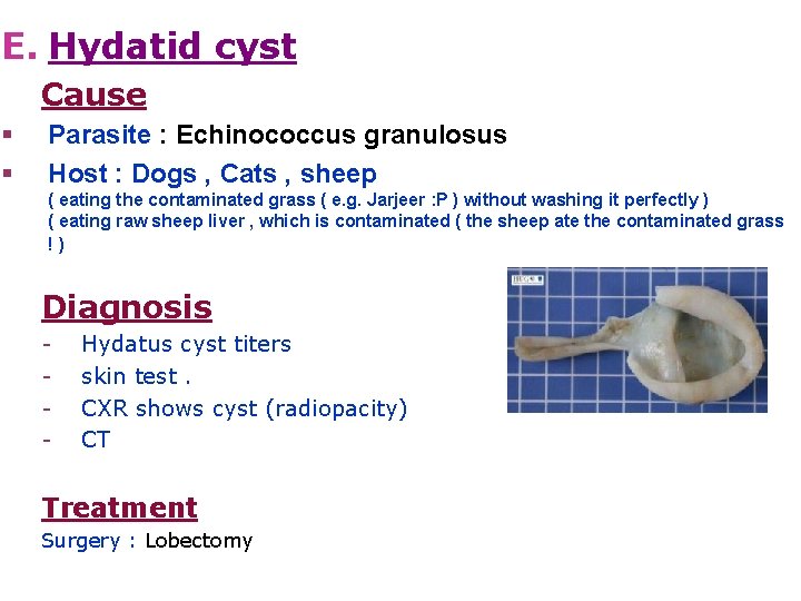 E. Hydatid cyst Cause § § Parasite : Echinococcus granulosus Host : Dogs ,