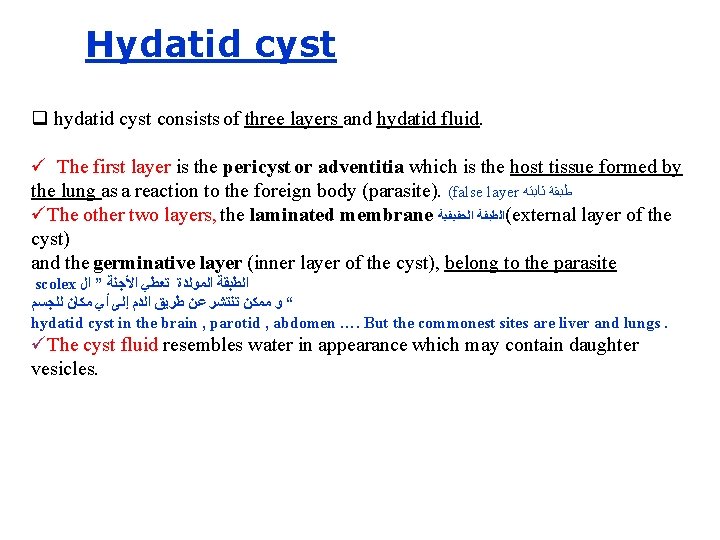 Hydatid cyst q hydatid cyst consists of three layers and hydatid fluid. ü The