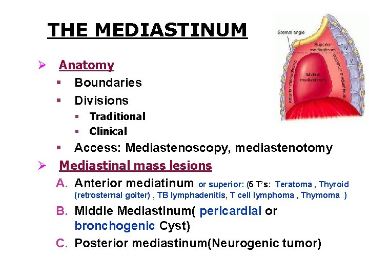 THE MEDIASTINUM Ø Anatomy § Boundaries § Divisions § § Traditional Clinical § Access: