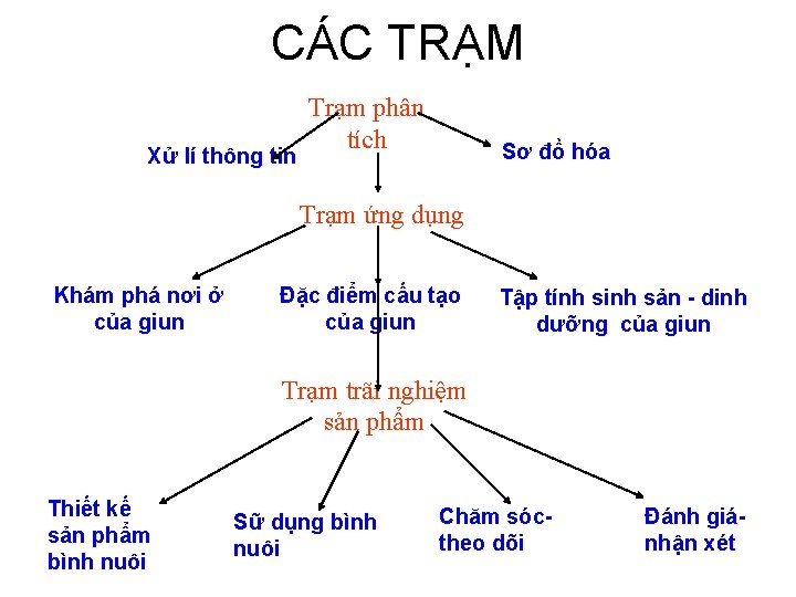 CÁC TRẠM Trạm phân Xử lí thông tin tích Sơ đồ hóa Trạm ứng