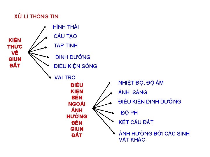 XỬ LÍ THÔNG TIN HÌNH THÁI KIẾN THỨC VỀ GIUN ĐẤT CẤU TẠO TẬP