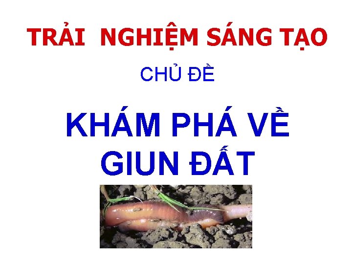 TRẢI NGHIỆM SÁNG TẠO CHỦ ĐỀ KHÁM PHÁ VỀ GIUN ĐẤT 