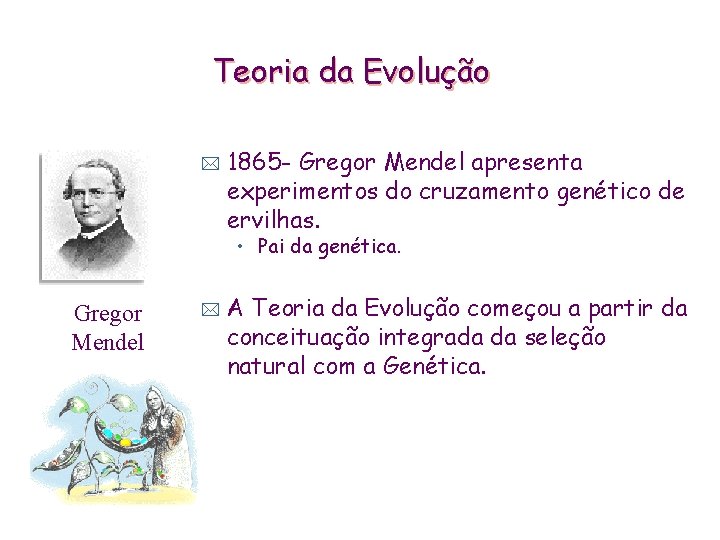 Teoria da Evolução * • Pai da genética. . Gregor Mendel 1865 - Gregor