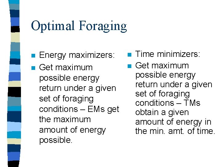 Optimal Foraging n n Energy maximizers: Get maximum possible energy return under a given