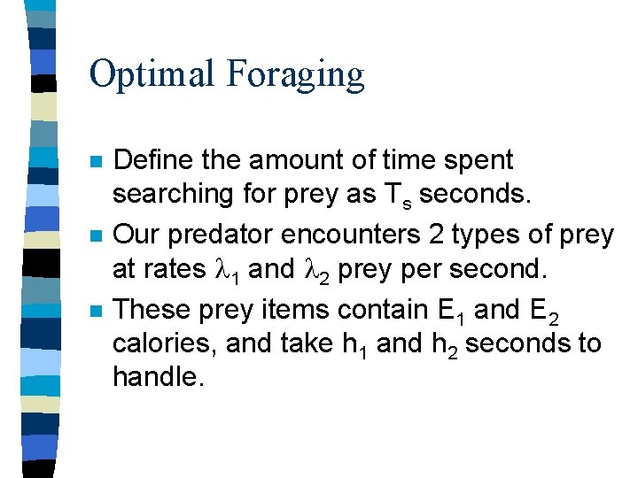 Optimal Foraging n n n Define the amount of time spent searching for prey