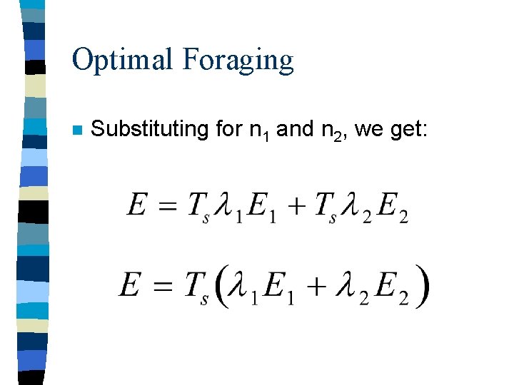 Optimal Foraging n Substituting for n 1 and n 2, we get: 