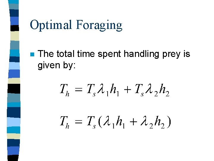 Optimal Foraging n The total time spent handling prey is given by: 