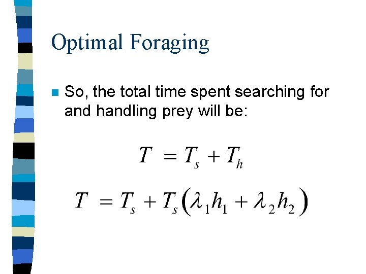 Optimal Foraging n So, the total time spent searching for and handling prey will