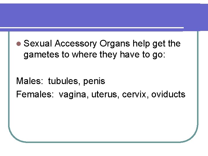 l Sexual Accessory Organs help get the gametes to where they have to go: