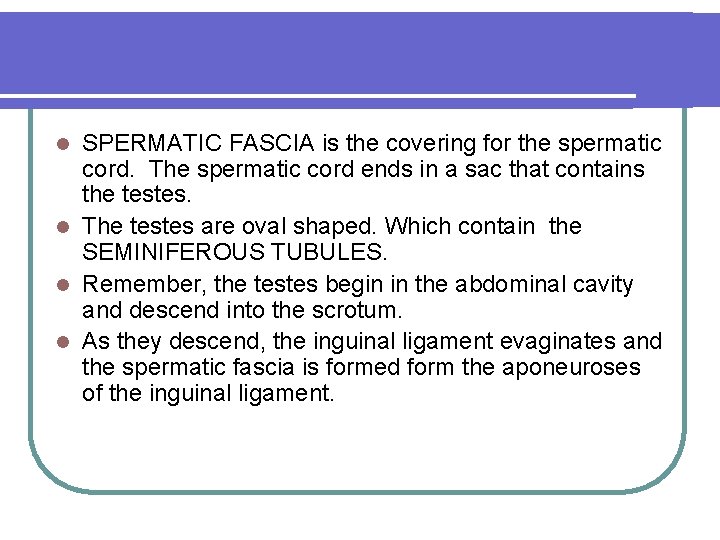 SPERMATIC FASCIA is the covering for the spermatic cord. The spermatic cord ends in