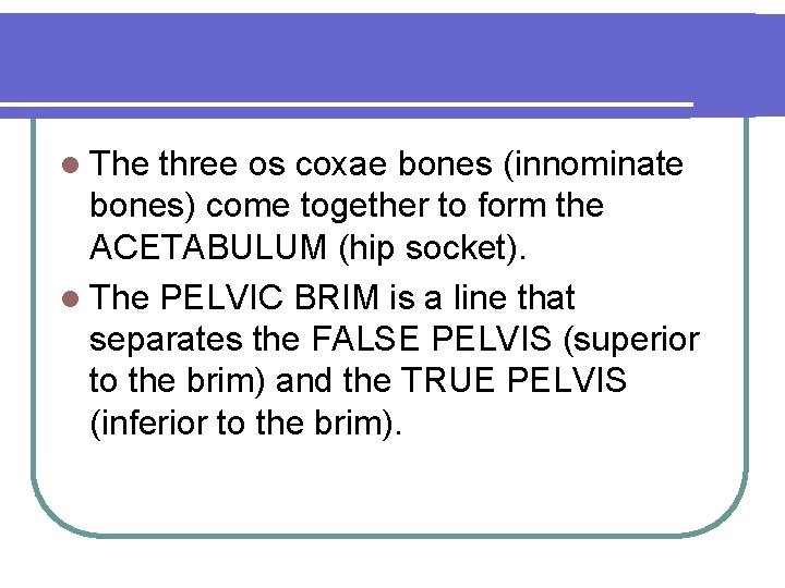 l The three os coxae bones (innominate bones) come together to form the ACETABULUM