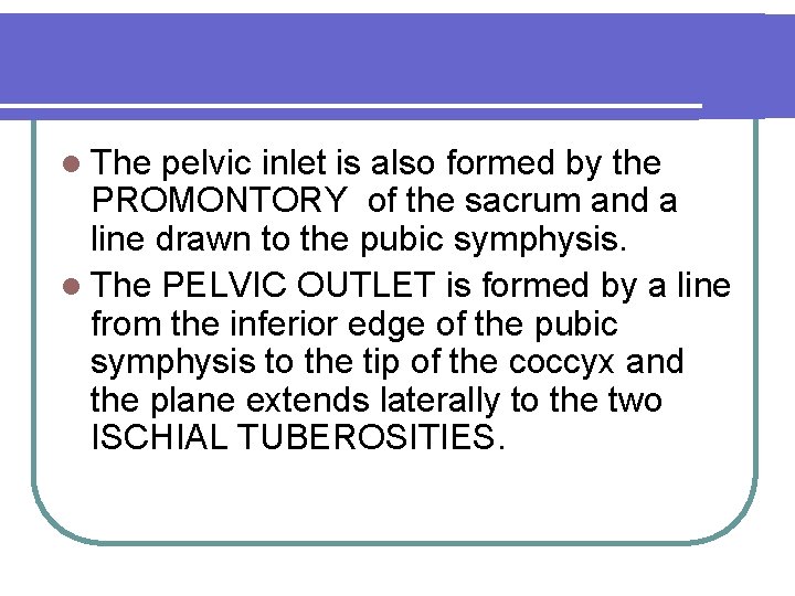 l The pelvic inlet is also formed by the PROMONTORY of the sacrum and