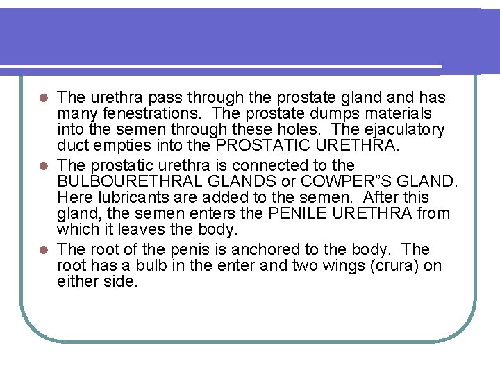 The urethra pass through the prostate gland has many fenestrations. The prostate dumps materials