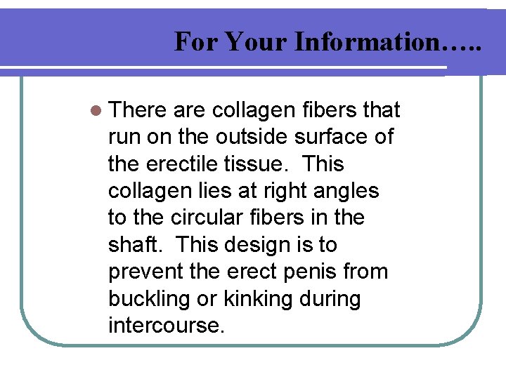 For Your Information…. . l There are collagen fibers that run on the outside