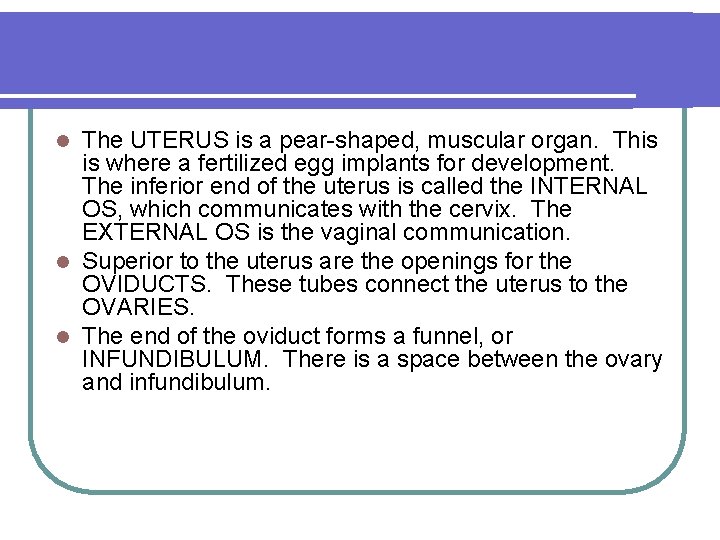 The UTERUS is a pear-shaped, muscular organ. This is where a fertilized egg implants