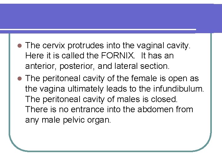 The cervix protrudes into the vaginal cavity. Here it is called the FORNIX. It