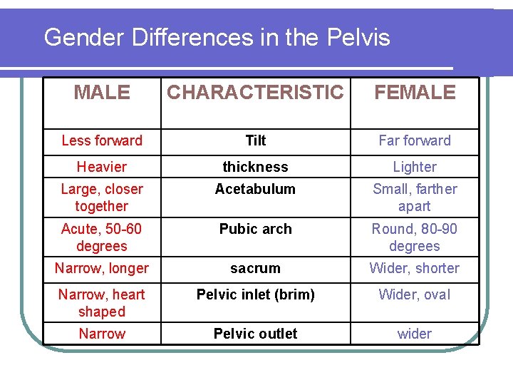 Gender Differences in the Pelvis MALE CHARACTERISTIC FEMALE Less forward Tilt Far forward Heavier