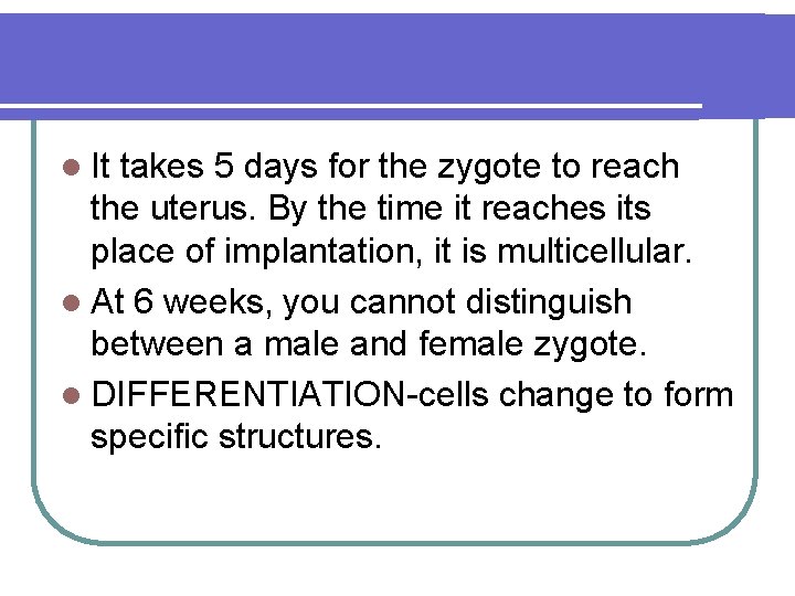 l It takes 5 days for the zygote to reach the uterus. By the