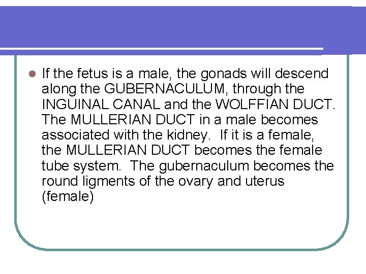 l If the fetus is a male, the gonads will descend along the GUBERNACULUM,