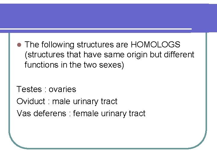 l The following structures are HOMOLOGS (structures that have same origin but different functions