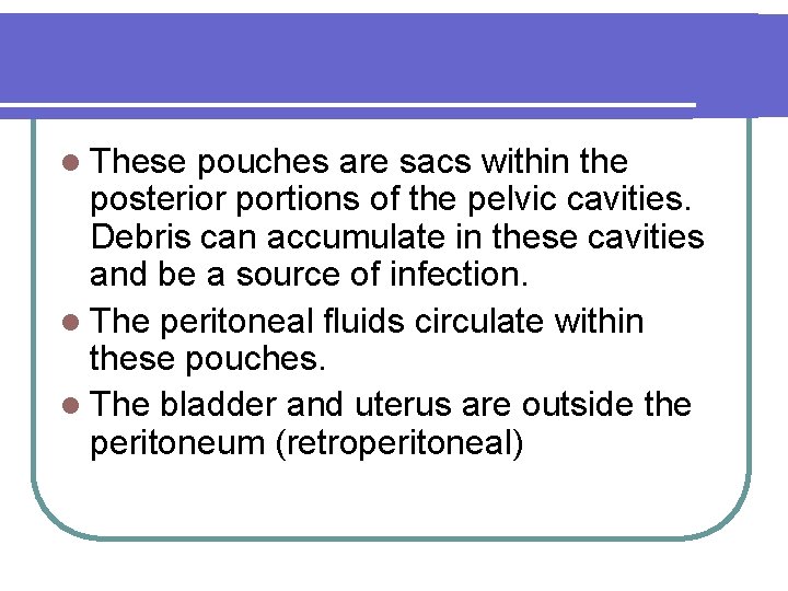 l These pouches are sacs within the posterior portions of the pelvic cavities. Debris
