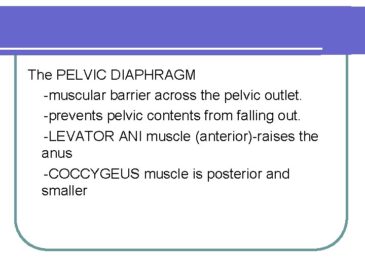 The PELVIC DIAPHRAGM -muscular barrier across the pelvic outlet. -prevents pelvic contents from falling
