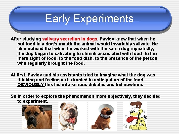 Early Experiments After studying salivary secretion in dogs, Pavlov knew that when he put