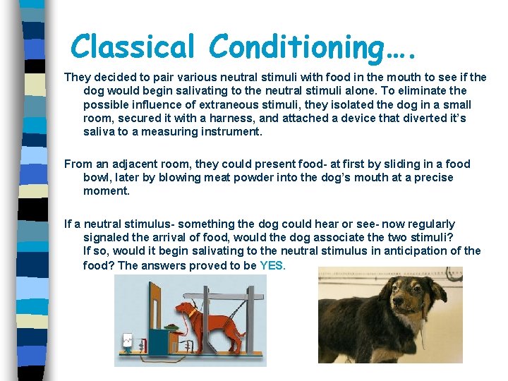 Classical Conditioning…. They decided to pair various neutral stimuli with food in the mouth