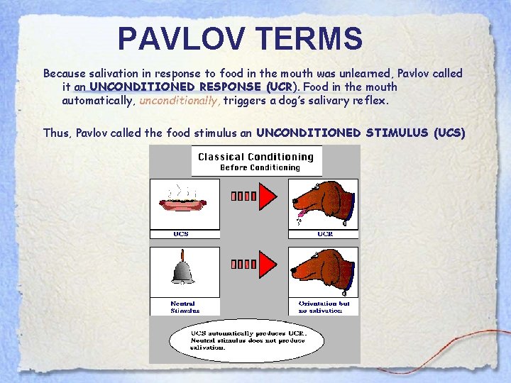 PAVLOV TERMS Because salivation in response to food in the mouth was unlearned, Pavlov