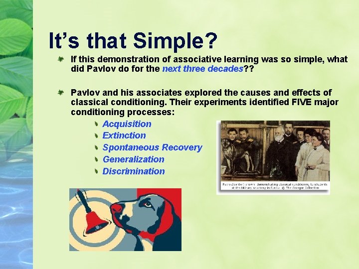 It’s that Simple? If this demonstration of associative learning was so simple, what did