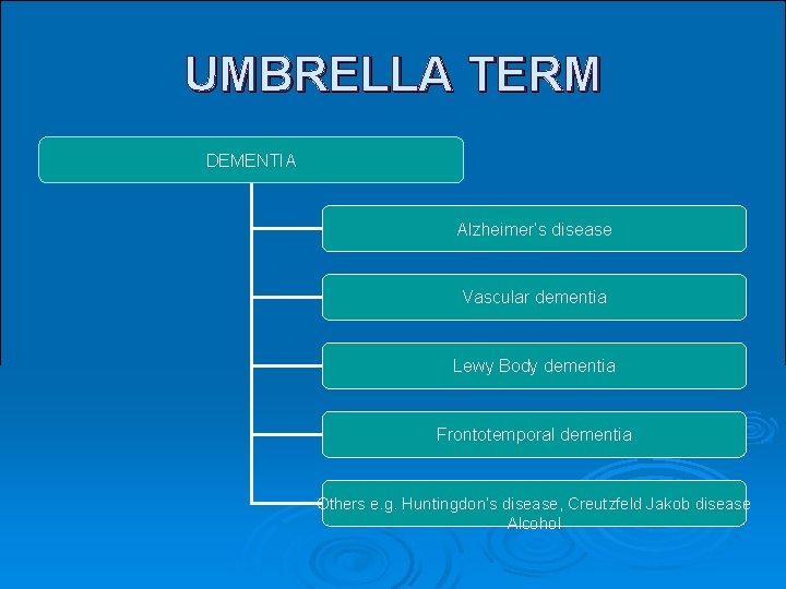 UMBRELLA TERM DEMENTIA Alzheimer’s disease Vascular dementia Lewy Body dementia Frontotemporal dementia Others e. UMBRELLA TERM DEMENTIA Alzheimer’s disease Vascular dementia Lewy Body dementia Frontotemporal dementia Others e.