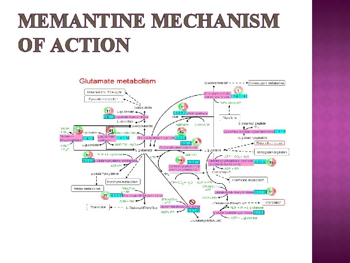 MEMANTINE MECHANISM OF ACTION MEMANTINE MECHANISM OF ACTION
