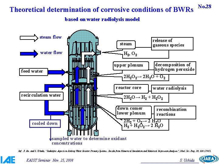 Theoretical determination of corrosive conditions of BWRs No. 28 based on water radiolysis model