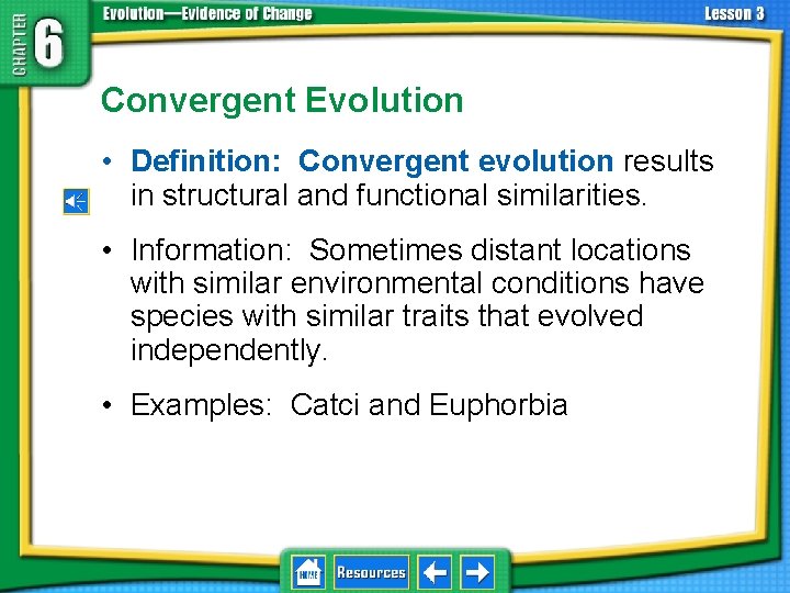 6. 3 Evolution and Plate Tectonics Convergent Evolution • Definition: Convergent evolution results in