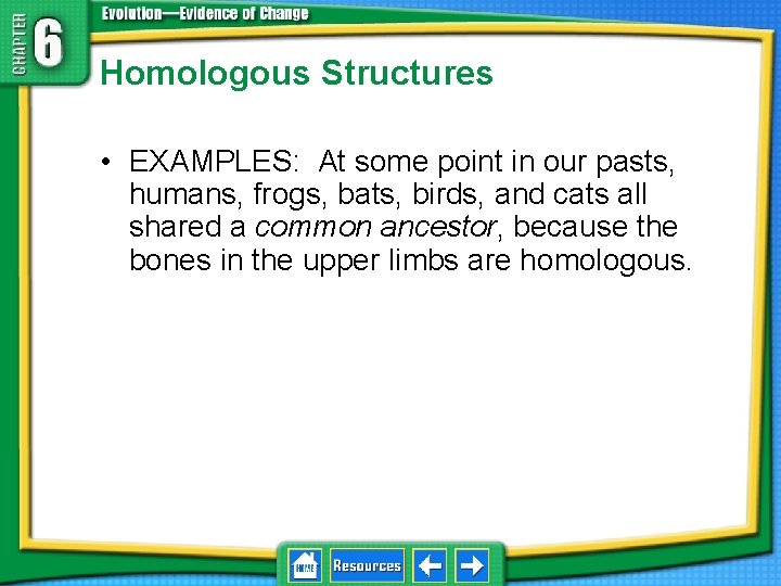 Homologous Structures • EXAMPLES: At some point in our pasts, humans, frogs, bats, birds,
