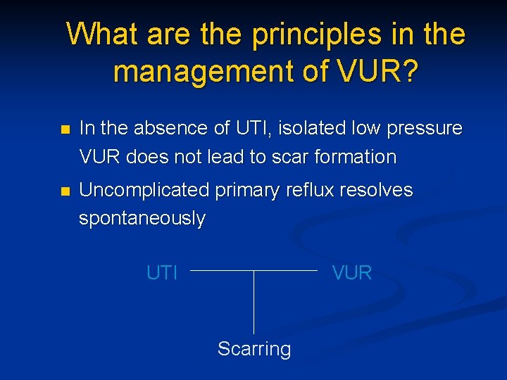 What are the principles in the management of VUR? n In the absence of