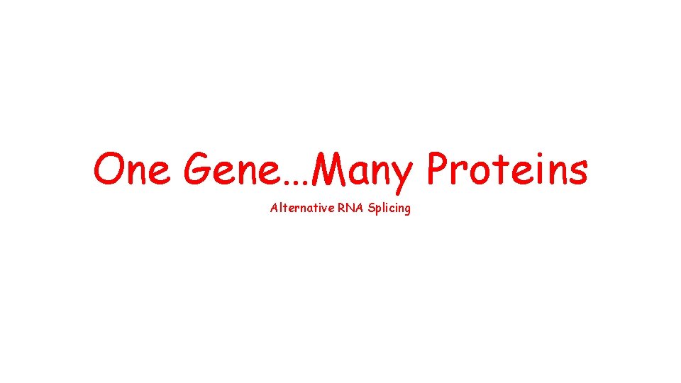 One Gene…Many Proteins Alternative RNA Splicing 