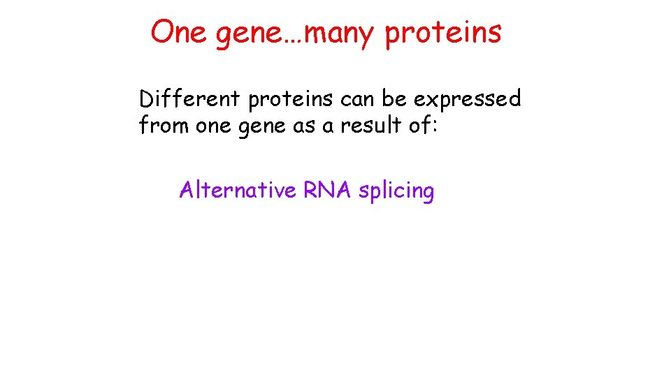 One gene…many proteins Different proteins can be expressed from one gene as a result