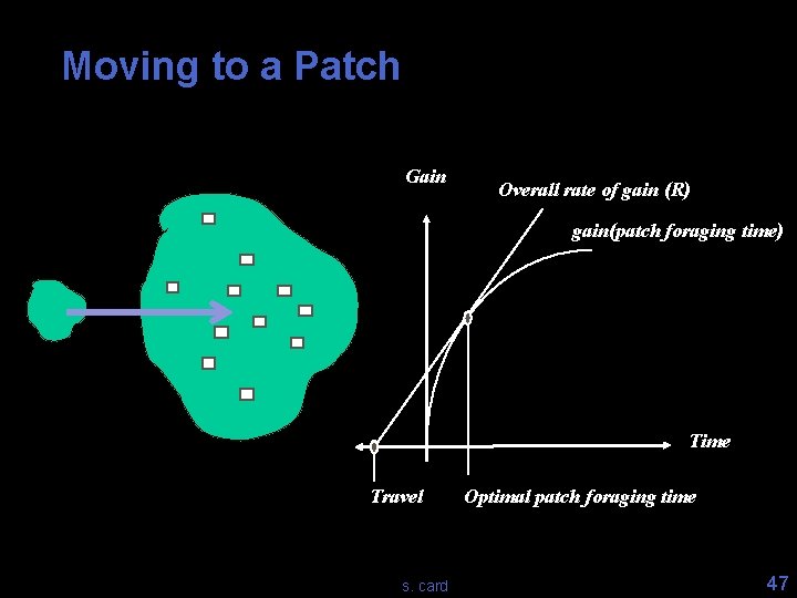 Moving to a Patch Gain Overall rate of gain (R) gain(patch foraging time) Time