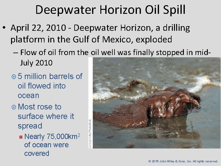 Deepwater Horizon Oil Spill • April 22, 2010 - Deepwater Horizon, a drilling platform