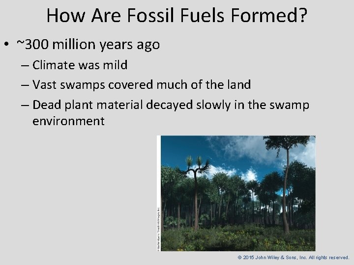 How Are Fossil Fuels Formed? • ~300 million years ago – Climate was mild