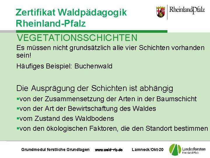 Zertifikat Waldpädagogik Rheinland-Pfalz VEGETATIONSSCHICHTEN Es müssen nicht grundsätzlich alle vier Schichten vorhanden sein! Häufiges