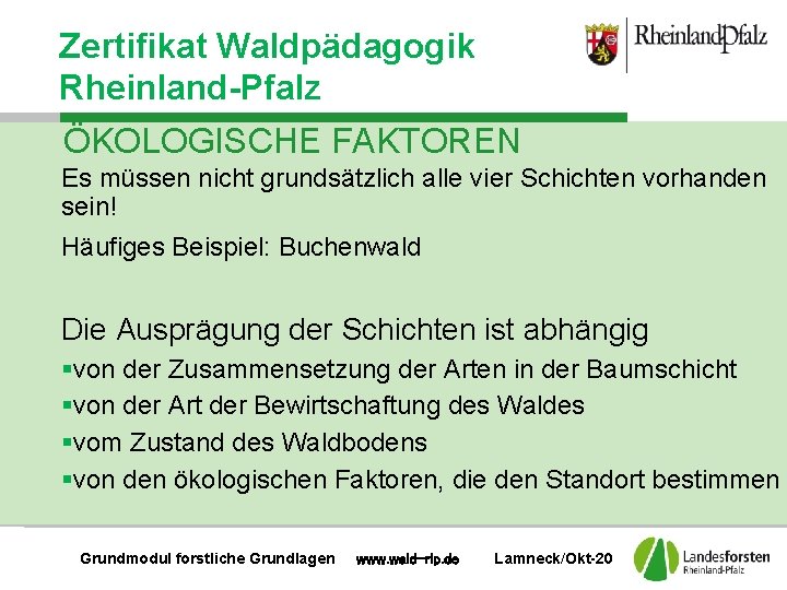 Zertifikat Waldpädagogik Rheinland-Pfalz ÖKOLOGISCHE FAKTOREN Es müssen nicht grundsätzlich alle vier Schichten vorhanden sein!