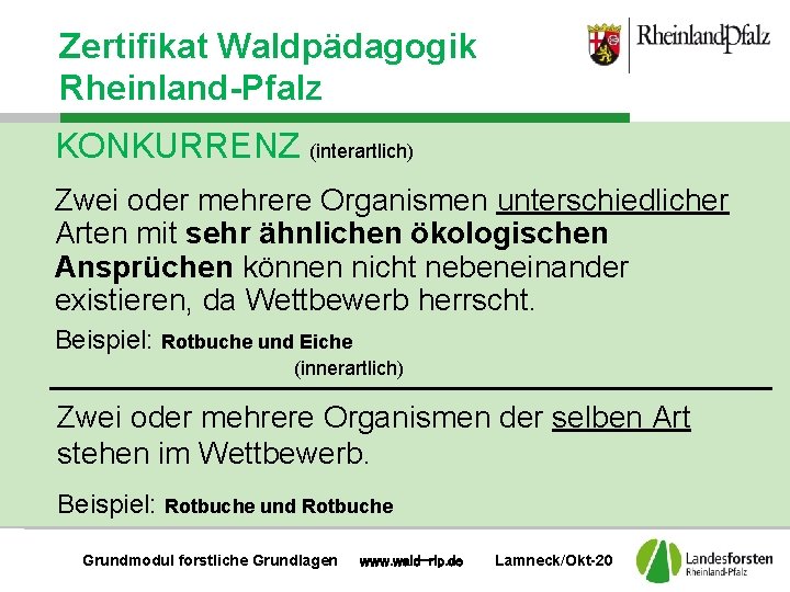 Zertifikat Waldpädagogik Rheinland-Pfalz KONKURRENZ (interartlich) Zwei oder mehrere Organismen unterschiedlicher Arten mit sehr ähnlichen