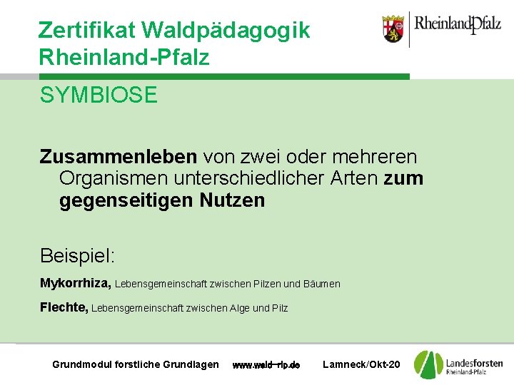 Zertifikat Waldpädagogik Rheinland-Pfalz SYMBIOSE Zusammenleben von zwei oder mehreren Organismen unterschiedlicher Arten zum gegenseitigen