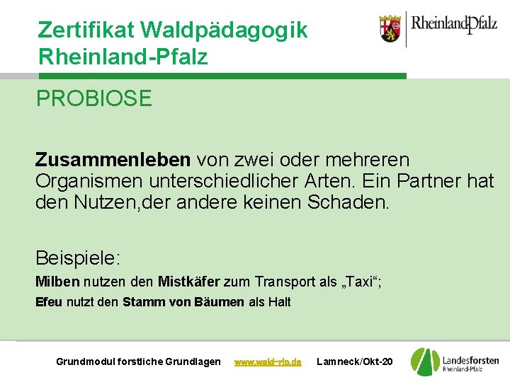 Zertifikat Waldpädagogik Rheinland-Pfalz PROBIOSE Zusammenleben von zwei oder mehreren Organismen unterschiedlicher Arten. Ein Partner