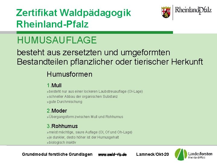Zertifikat Waldpädagogik Rheinland-Pfalz HUMUSAUFLAGE besteht aus zersetzten und umgeformten Bestandteilen pflanzlicher oder tierischer Herkunft