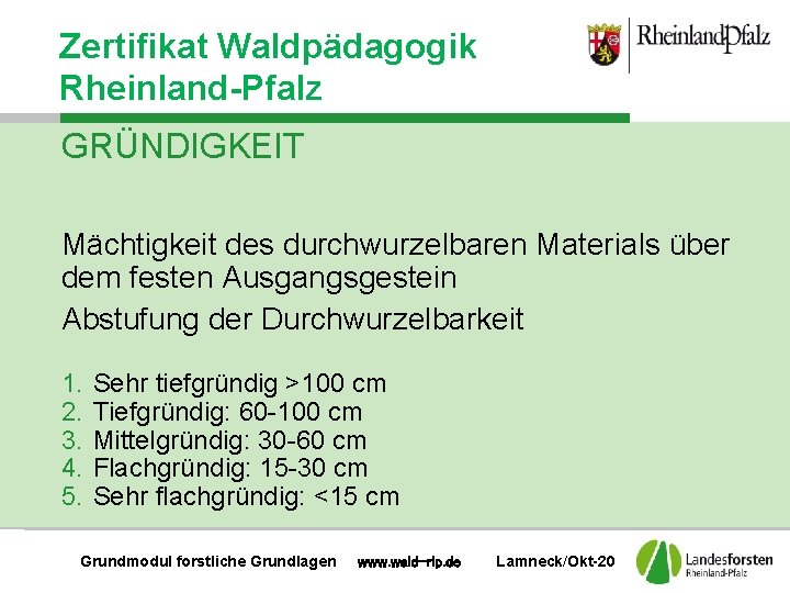 Zertifikat Waldpädagogik Rheinland-Pfalz GRÜNDIGKEIT Mächtigkeit des durchwurzelbaren Materials über dem festen Ausgangsgestein Abstufung der